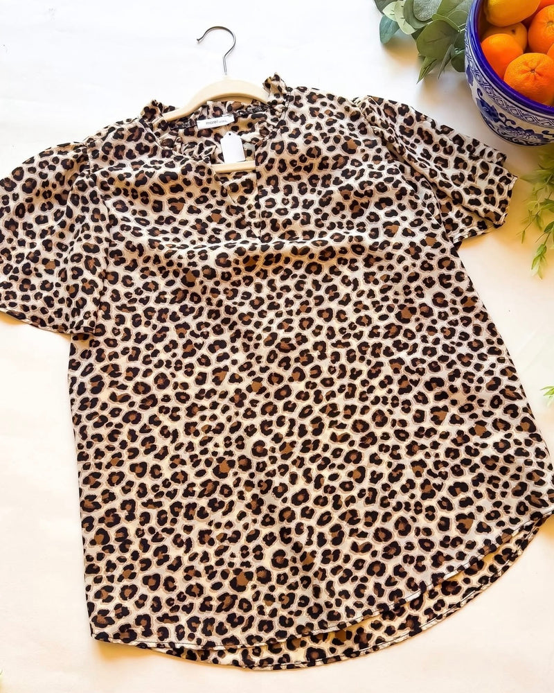 Plus Size Leopard Short Sleeve Open Neck Top