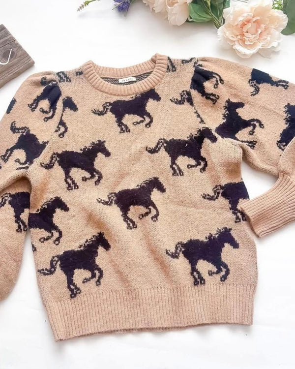 Horse Western Inspired Long Sleeve Pullover Sweater