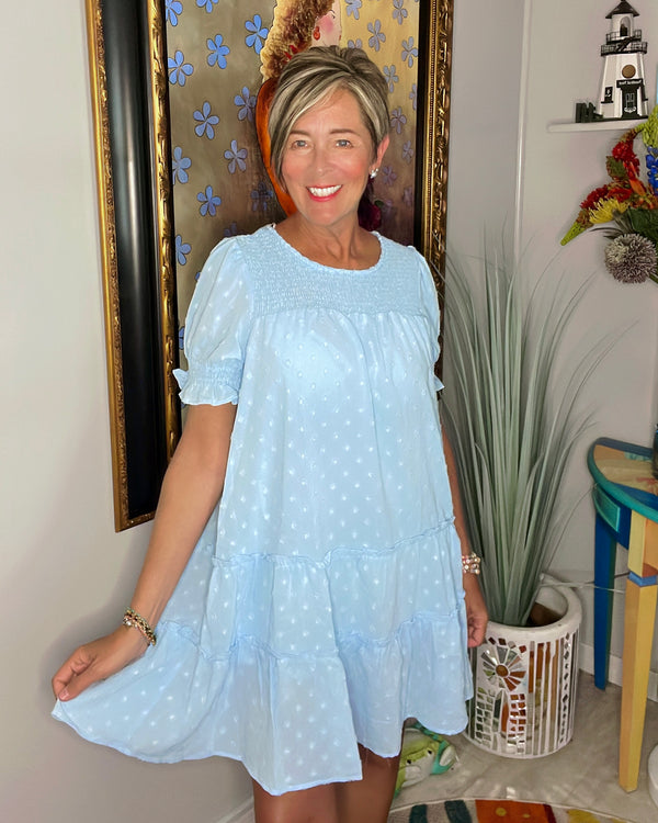 Powder Baby Blue Swiss Dot Ruffle Hem Short Sleeve Dress