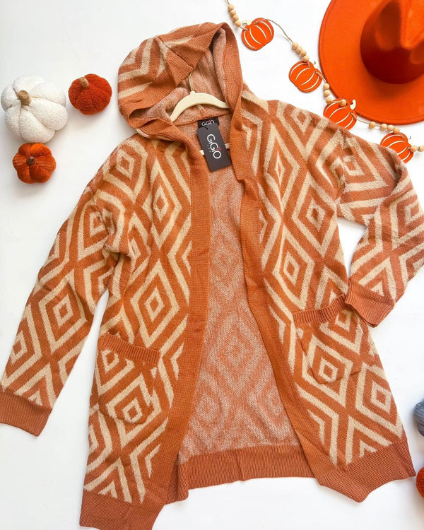 Cinnamon Camel & Tan Chunky Open Front Aztec Print Sweater Hoodie Pocket Cardigan