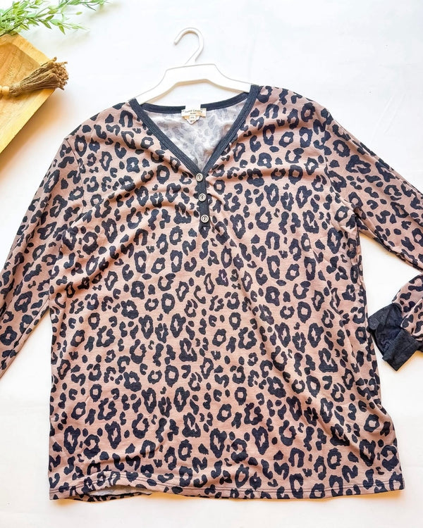 Plus Size Brown & Black Long Sleeve Button Neck Top