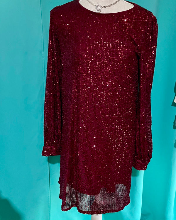 Burgandy Wine Allover Sequin Long Sleeve Dress